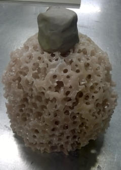 Wax form from gel beads ready to be made into mould.